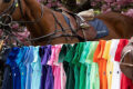 polo-ralph-lauren-featured-image