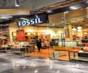 Fossil banner