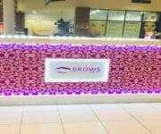 Brows expert banner