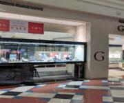 Gattea banner