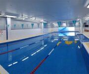 Aquatics down under banner