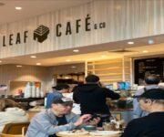 Leaf cafe banner