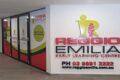 Reggio Emilia banner