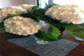 Janina Florist