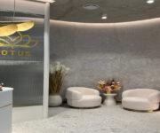 Lotus Natural Therapy banner