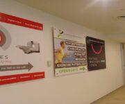 Rhodes Medical Imaging banner