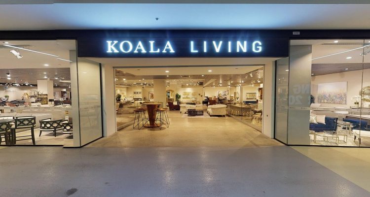 Koala living banner