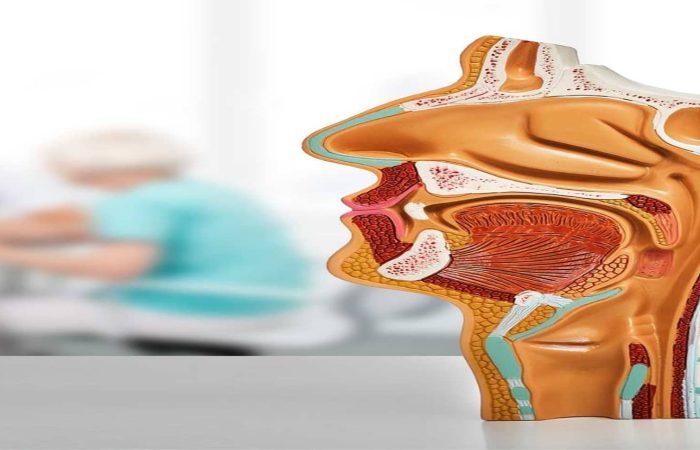 Sydney adult banner