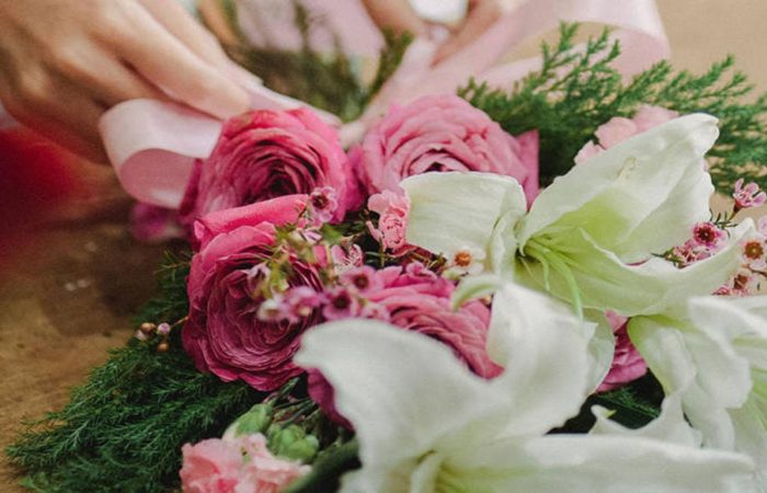 Wild-rose-featured-image