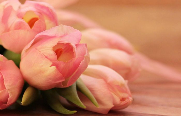 bright-flowers-featured-image